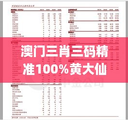 澳门三肖三码精准100%黄大仙,高效计划实施_ROC49.756效率版