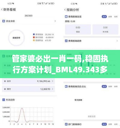 管家婆必出一肖一码,稳固执行方案计划_BML49.343多功能版