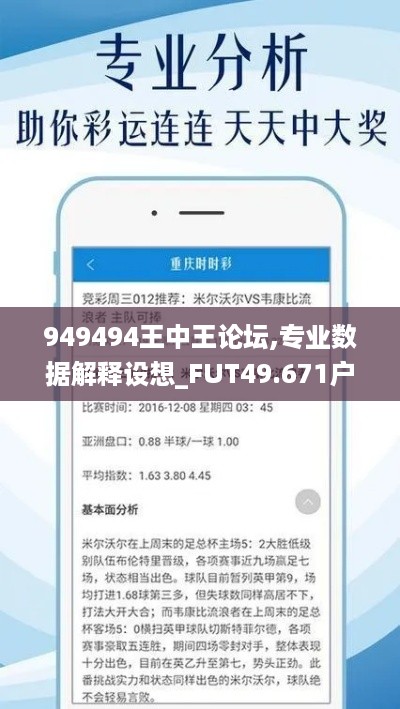 949494王中王论坛,专业数据解释设想_FUT49.671户外版