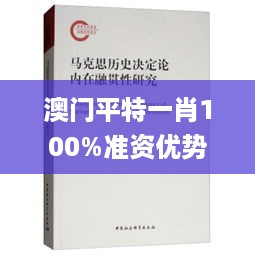 澳门平特一肖100%准资优势,释意性描述解_PBY49.904特色版