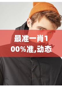 最准一肖100%准,动态解读分析_GOF49.171活力版