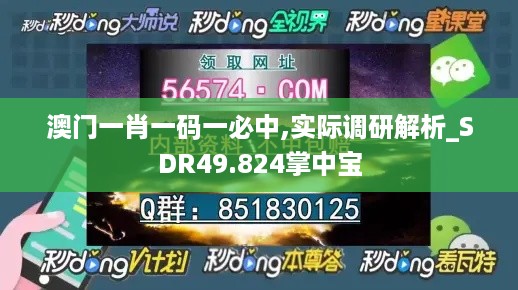 澳门一肖一码一必中,实际调研解析_SDR49.824掌中宝