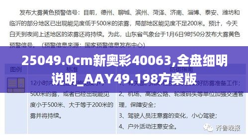 25049.0cm新奥彩40063,全盘细明说明_AAY49.198方案版