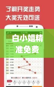 白小姐精准免费四肖,高效性设计规划_ZBR49.193稳定版