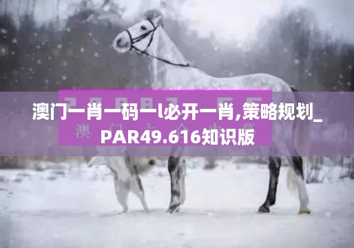 澳门一肖一码一l必开一肖,策略规划_PAR49.616知识版