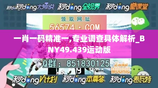 一肖一码精准一,专业调查具体解析_BNY49.439运动版