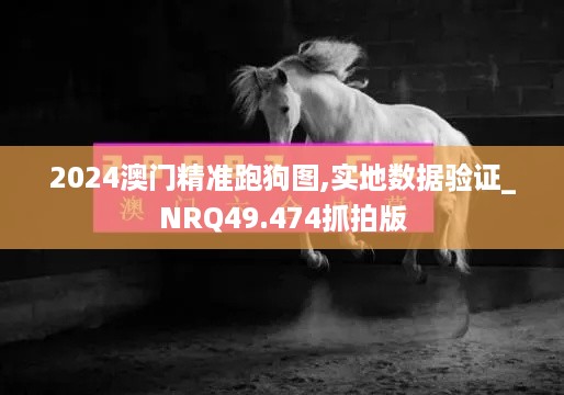 2024澳门精准跑狗图,实地数据验证_NRQ49.474抓拍版