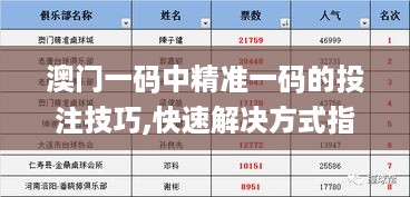 澳门一码中精准一码的投注技巧,快速解决方式指南_HZJ49.840迅捷版