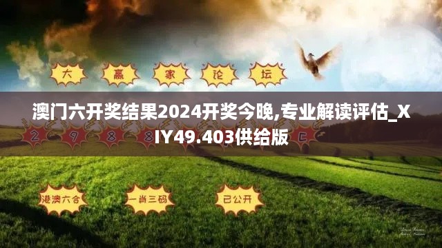 澳门六开奖结果2024开奖今晚,专业解读评估_XIY49.403供给版