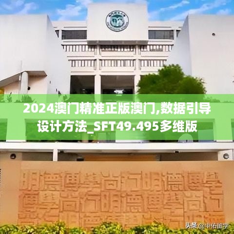 2024澳门精准正版澳门,数据引导设计方法_SFT49.495多维版