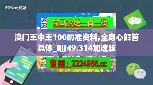 澳门王中王100的准资料,全身心解答具体_EJJ49.314加速版