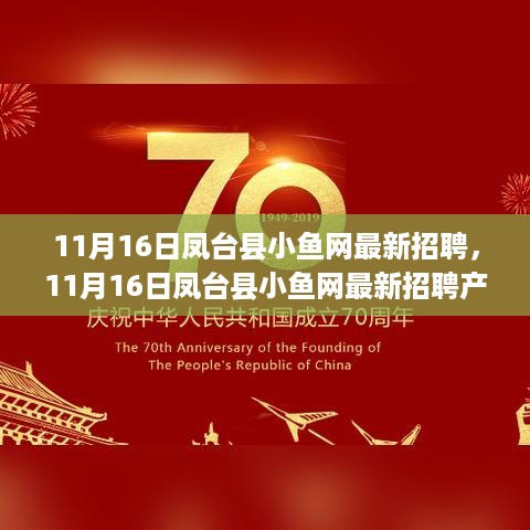 11月16日凤台县小鱼网最新招聘及招聘产品全面评测介绍