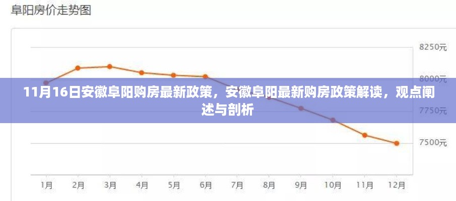 安徽阜阳最新购房政策解读及观点阐述，11月16日深度剖析