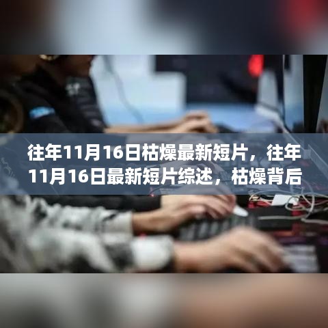 往年11月16日短片综述，枯燥背后的亮点与启示