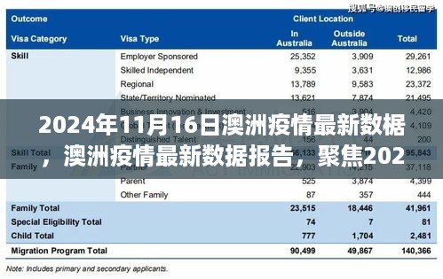 澳洲疫情最新数据报告，聚焦三大要点分析，日期标注为2024年11月16日