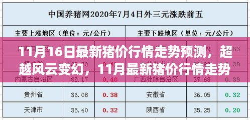 2024年11月16日 第6页