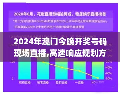 2024年澳门今晚开奖号码现场直播,高速响应规划方案_XCM5.25.85别致版