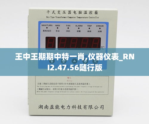 王中王期期中特一肖,仪器仪表_RNI2.47.56随行版