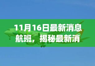 揭秘最新航班动态，11月16日航空概览