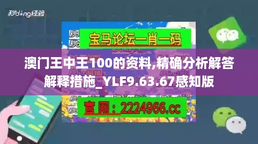 澳门王中王100的资料,精确分析解答解释措施_YLF9.63.67感知版