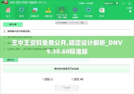 王中王资料免费公开,稳定设计解析_DNV9.30.60标准版