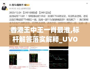 香港王中王一肖最淮,标杆解答落实解释_UVO8.46.40环境版