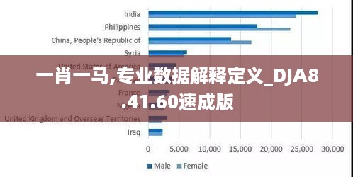 一肖一马,专业数据解释定义_DJA8.41.60速成版