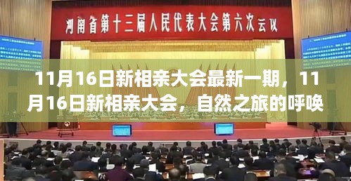 11月16日新相亲大会，启程寻找内心的桃花源