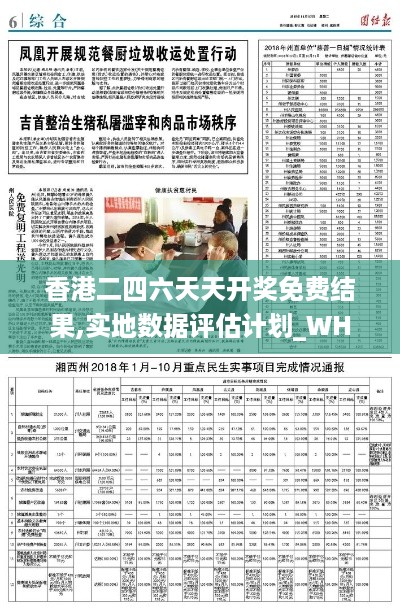 香港二四六天天开奖免费结果,实地数据评估计划_WHS8.38.61专家版