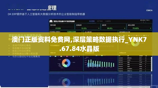 澳门正版资料免费网,深层策略数据执行_YNK7.67.84水晶版