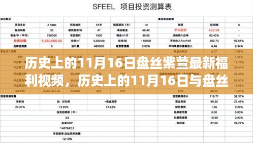 历史上的11月16日盘丝紫萱影视文化福利揭秘，最新视频福利回顾