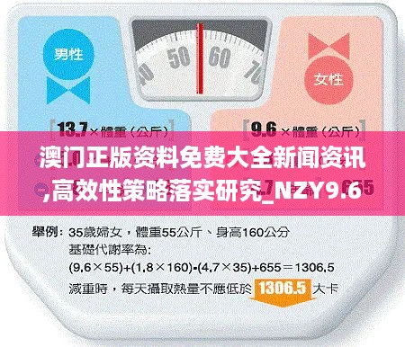 澳门正版资料免费大全新闻资讯,高效性策略落实研究_NZY9.61.32轻奢版