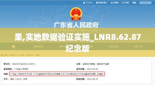 果,实地数据验证实施_LNR8.62.87纪念版