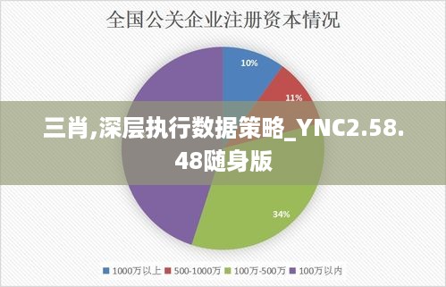 三肖,深层执行数据策略_YNC2.58.48随身版