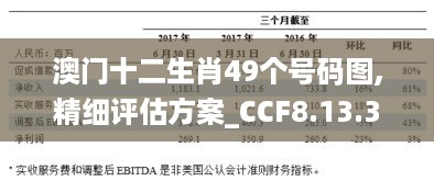 澳门十二生肖49个号码图,精细评估方案_CCF8.13.36改进版