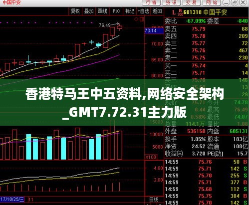 香港特马王中五资料,网络安全架构_GMT7.72.31主力版