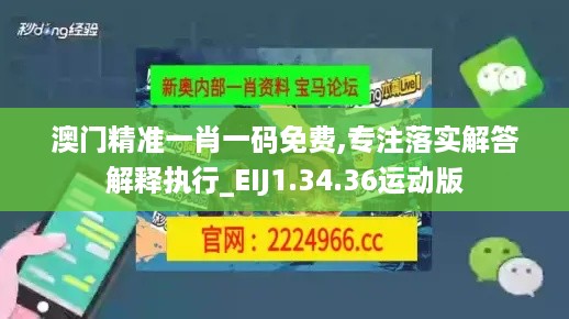 澳门精准一肖一码免费,专注落实解答解释执行_EIJ1.34.36运动版