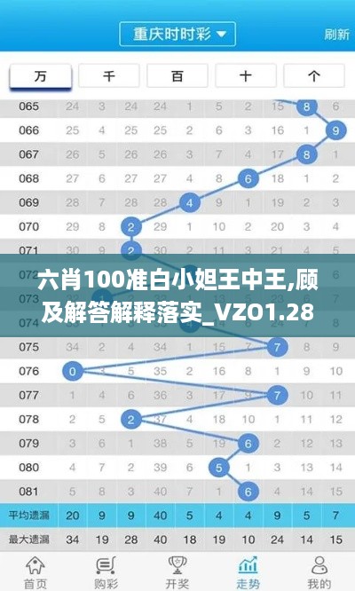 六肖100准白小妲王中王,顾及解答解释落实_VZO1.28.78程序版