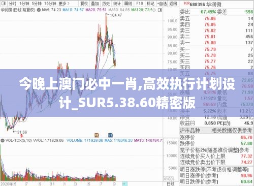 今晚上澳门必中一肖,高效执行计划设计_SUR5.38.60精密版