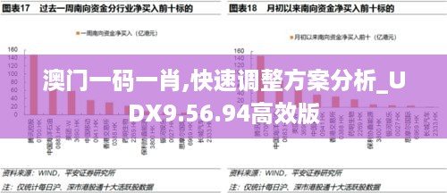 澳门一码一肖,快速调整方案分析_UDX9.56.94高效版