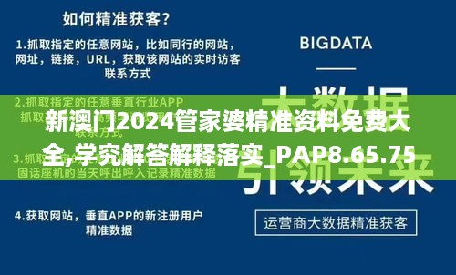 新澳门2024管家婆精准资料免费大全,学究解答解释落实_PAP8.65.75DIY工具版