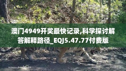 澳门4949开奖最快记录,科学探讨解答解释路径_EQJ5.47.77付费版