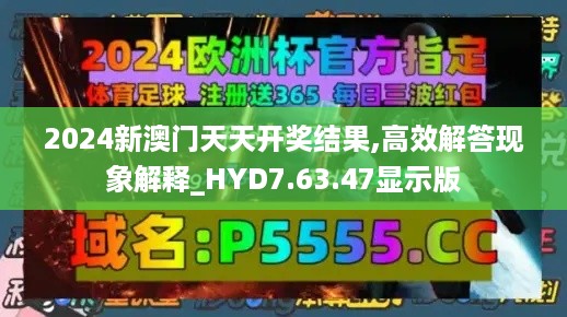 2024新澳门天天开奖结果,高效解答现象解释_HYD7.63.47显示版