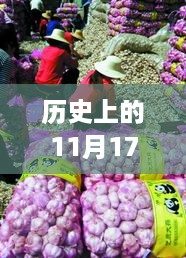 历史上的11月17日安徽大蒜价格深度解析，最新行情、背景与事件探究