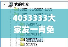 4033333大家发一肖免费公开,证据解答解释落实_TIK1.25.89寻找版