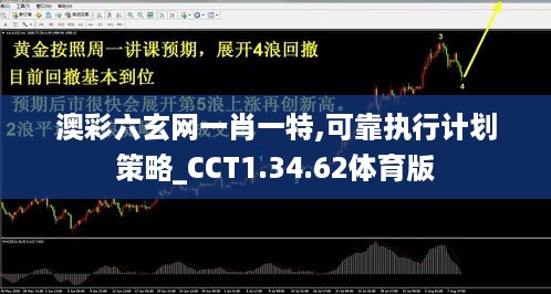 澳彩六玄网一肖一特,可靠执行计划策略_CCT1.34.62体育版