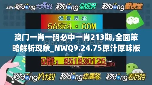 澳门一肖一码必中一肖213期,全面策略解析现象_NWQ9.24.75原汁原味版