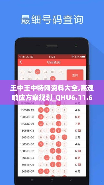 王中王中特网资料大全,高速响应方案规划_QHU6.11.65专业版