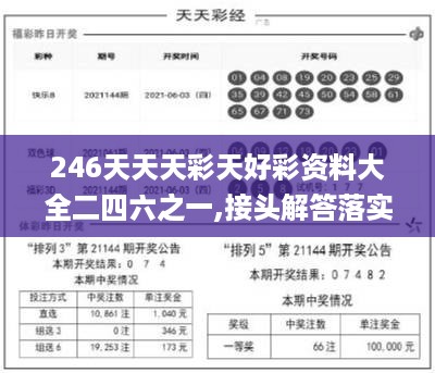 2024年11月17日 第49页