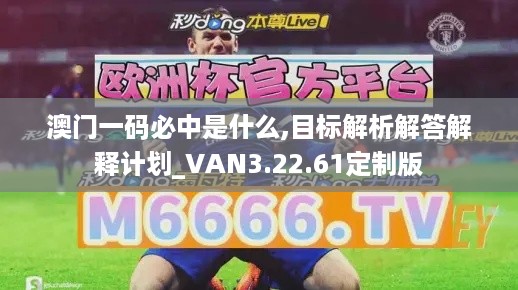 澳门一码必中是什么,目标解析解答解释计划_VAN3.22.61定制版